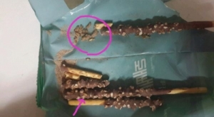 A Posting about finding maggots in Pepero manufactured by Lotte Confectionery arousing controversy