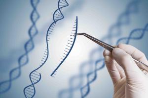 Merck Receives Two More Patents for CRISPR Technology