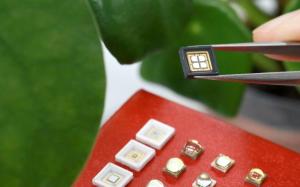 LG Innotek unveils ‘Horticultural LED’ lineup to target the global market