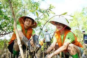 '글로벌 사회적기업' SK이노베이션, 베트남 맹그로브 숲 복원사업 참여