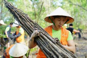 SK Innovation establishes a global social company in Vietnam to restore mangrove forests